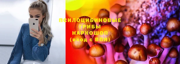 ECSTASY Алзамай